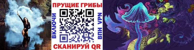 Галлюциногенные грибы GOLDEN TEACHER  купить  цена  Венёв 