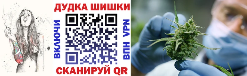 Канабис гибрид  Венёв 